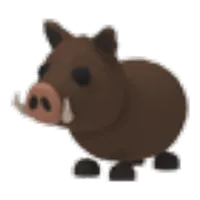 Wild Boar